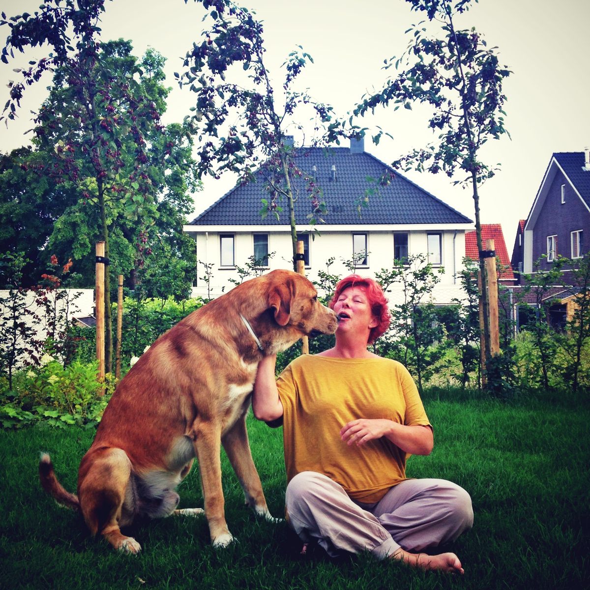 Sanne Roemen - Door mijn filters - Editie #339 Over grote honden, geluksmuziek en algoritmes